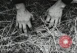 Standbild Rot Legacy Österreich, 1956, aus Sekunde 38 historischem Filmmaterial Videoclip 65675066313