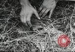 Standbild Rot Legacy Österreich, 1956, aus Sekunde 40 historischem Filmmaterial Videoclip 65675066313