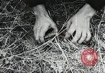Standbild Rot Legacy Österreich, 1956, aus Sekunde 41 historischem Filmmaterial Videoclip 65675066313