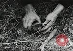 Standbild Rot Legacy Österreich, 1956, aus Sekunde 43 historischem Filmmaterial Videoclip 65675066313
