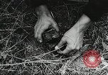 Standbild Rot Legacy Österreich, 1956, aus Sekunde 44 historischem Filmmaterial Videoclip 65675066313