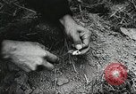 Standbild Rot Legacy Österreich, 1956, aus Sekunde 49 historischem Filmmaterial Videoclip 65675066313