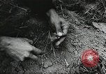 Standbild Rot Legacy Österreich, 1956, aus Sekunde 50 historischem Filmmaterial Videoclip 65675066313