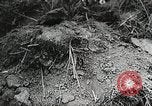 Standbild Rot Legacy Österreich, 1956, aus Sekunde 51 historischem Filmmaterial Videoclip 65675066313
