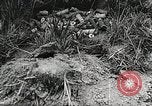 Standbild Rot Legacy Österreich, 1956, aus Sekunde 52 historischem Filmmaterial Videoclip 65675066313