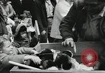 Standbild amerikanische Bürger San Bruno California USA, 1956, aus Sekunde 15 historischem Filmmaterial Videoclip 65675066314