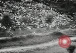 Standbild Motorrad dirtbike Rennen Tarn Frankreich, 1956, aus Sekunde 10 historischem Filmmaterial Videoclip 65675066318