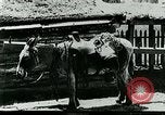 Image of transcontinental telephone line United States USA, 1926, second 35 stock footage video 65675066327
