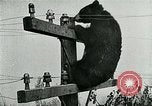 Image of transcontinental telephone line United States USA, 1926, second 60 stock footage video 65675066327