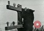 Image of transcontinental telephone line United States USA, 1926, second 61 stock footage video 65675066327