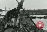 Image of telephone lines Florida United States USA, 1926, second 12 stock footage video 65675066328