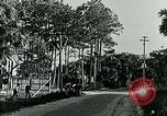 Image of telephone lines Florida United States USA, 1926, second 58 stock footage video 65675066328