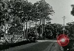 Image of telephone lines Florida United States USA, 1926, second 61 stock footage video 65675066328