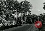 Image of telephone lines Florida United States USA, 1926, second 62 stock footage video 65675066328