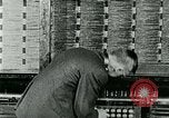 Immagine di Bell System facility e il centralino telefonico operatori United States USA, 1926, secondo 51 filmato di repertorio 65675066335