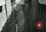 Standbild Anfang Telefon Infrastruktur United States USA, 1918, aus Sekunde 26 historischem Filmmaterial Videoclip 65675066342
