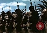 Image of Victory Day parade Tunis Tunisia, 1943, second 9 stock footage video 65675066352