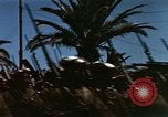 Immagine di La Giornata della vittoria sfilata Tunisi Tunisia, 1943, secondo 4 filmato di repertorio 65675066353