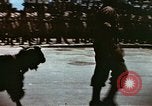Immagine di La Giornata della vittoria sfilata Tunisi Tunisia, 1943, secondo 38 filmato di repertorio 65675066353