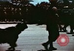 Immagine di La Giornata della vittoria sfilata Tunisi Tunisia, 1943, secondo 39 filmato di repertorio 65675066353