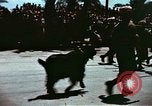 Immagine di La Giornata della vittoria sfilata Tunisi Tunisia, 1943, secondo 40 filmato di repertorio 65675066353