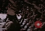Image of Victory Day parade Tunis Tunisia, 1943, second 4 stock footage video 65675066355