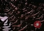 Image of Victory Day parade Tunis Tunisia, 1943, second 31 stock footage video 65675066355