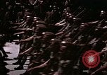 Image of Victory Day parade Tunis Tunisia, 1943, second 35 stock footage video 65675066355