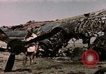 Standbild Zerstörte deutsche Kampfflugzeuge Tunis Tunesien, 1943, aus Sekunde 31 historischem Filmmaterial Videoclip 65675066356