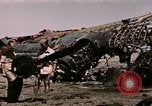 Standbild Zerstörte deutsche Kampfflugzeuge Tunis Tunesien, 1943, aus Sekunde 32 historischem Filmmaterial Videoclip 65675066356