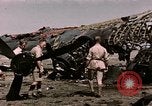 Standbild Zerstörte deutsche Kampfflugzeuge Tunis Tunesien, 1943, aus Sekunde 37 historischem Filmmaterial Videoclip 65675066356