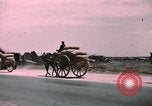 Immagine di Il relitto della bomba Tunisi Tunisia, 1943, secondo 49 filmato di repertorio 65675066362