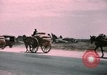 Immagine di Il relitto della bomba Tunisi Tunisia, 1943, secondo 50 filmato di repertorio 65675066362