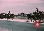 Immagine di Il relitto della bomba Tunisi Tunisia, 1943, secondo 52 filmato di repertorio 65675066362