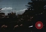 Immagine di La Giornata della vittoria sfilata Tunisi Tunisia, 1943, secondo 33 filmato di repertorio 65675066364