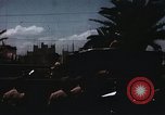 Immagine di La Giornata della vittoria sfilata Tunisi Tunisia, 1943, secondo 34 filmato di repertorio 65675066364
