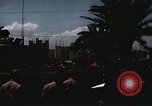 Immagine di La Giornata della vittoria sfilata Tunisi Tunisia, 1943, secondo 36 filmato di repertorio 65675066364