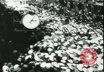Immagine di Università di Uppsala studenti Uppsala Svezia, 1944, secondo 52 filmato di repertorio 65675066370