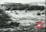 Image of German cadets Germany, 1944, second 3 stock footage video 65675066376