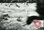 Image of German cadets Germany, 1944, second 12 stock footage video 65675066376