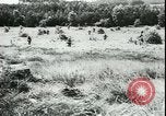 Image of German cadets Germany, 1944, second 13 stock footage video 65675066376