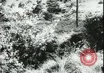 Image of German cadets Germany, 1944, second 33 stock footage video 65675066376