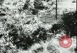 Image of German cadets Germany, 1944, second 34 stock footage video 65675066376