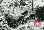 Image of German cadets Germany, 1944, second 35 stock footage video 65675066376