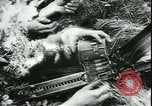 Image of German cadets Germany, 1944, second 36 stock footage video 65675066376