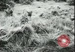 Image of German cadets Germany, 1944, second 38 stock footage video 65675066376