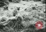 Image of German cadets Germany, 1944, second 39 stock footage video 65675066376