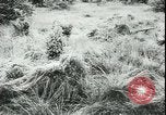 Image of German cadets Germany, 1944, second 40 stock footage video 65675066376