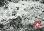 Image of German cadets Germany, 1944, second 41 stock footage video 65675066376