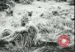 Image of German cadets Germany, 1944, second 42 stock footage video 65675066376
